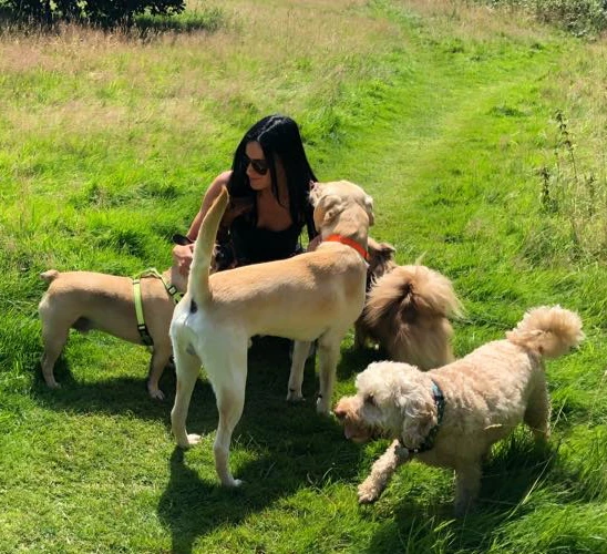 Becca walking a group of dogs in Crawley