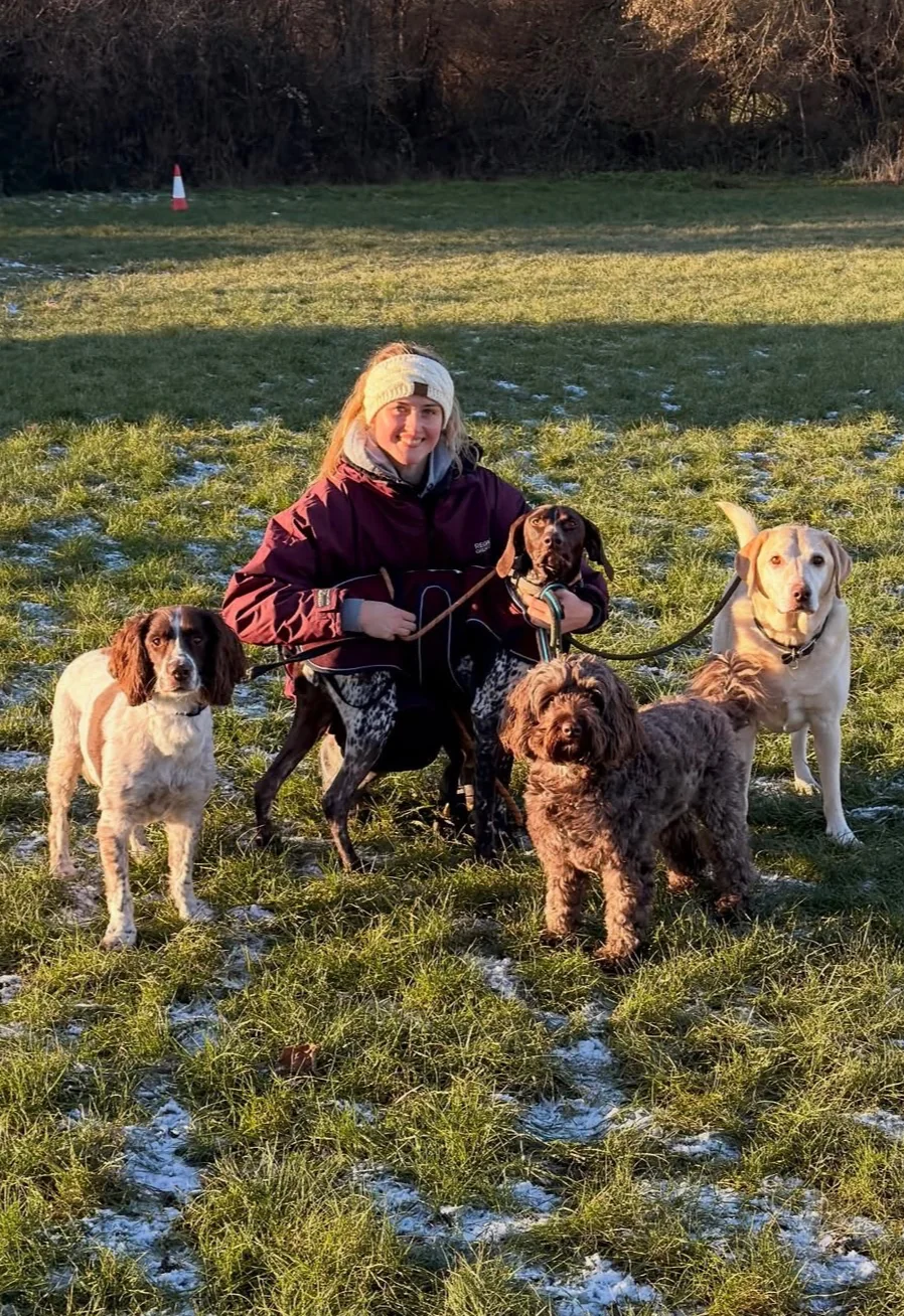Lily walking a group of dogs in Crawley