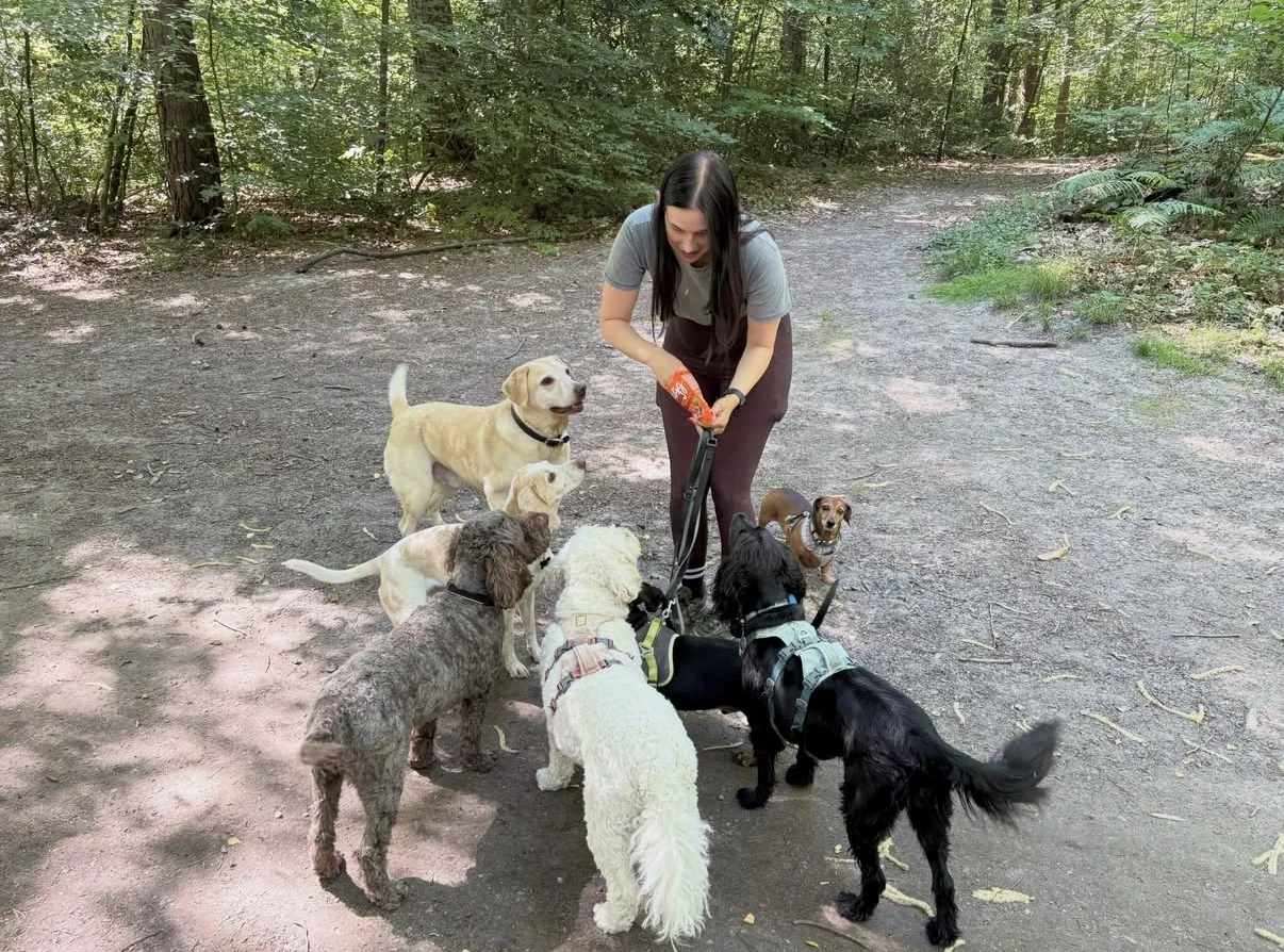 Becca giving treats on a group walk in Crawley