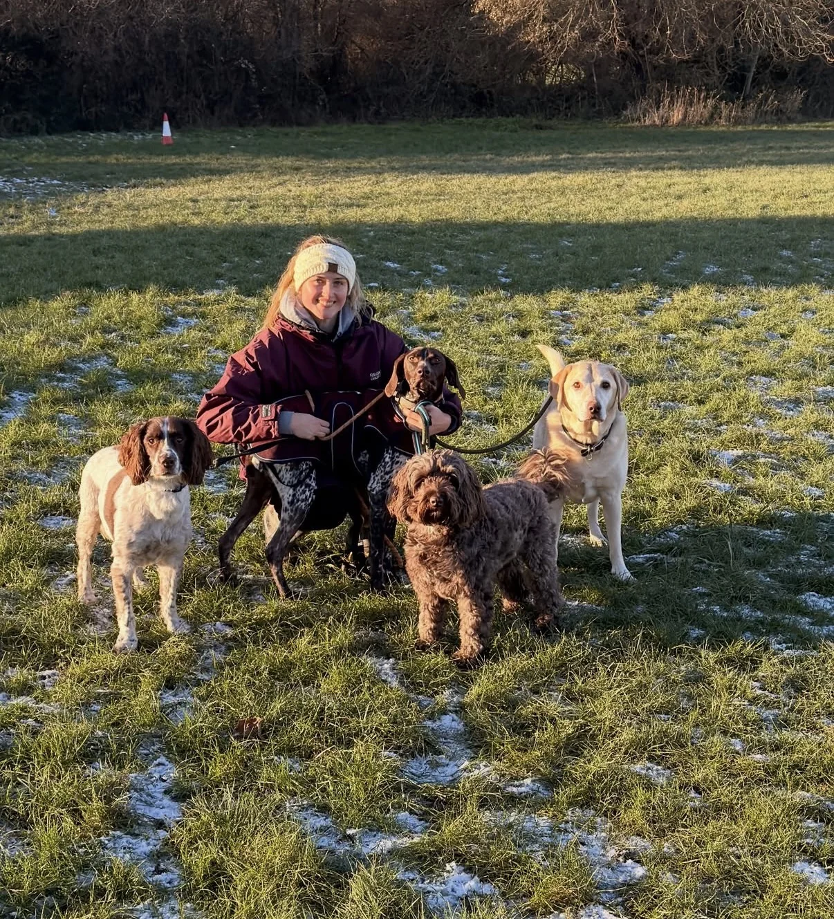 Lily walking a group of dogs in Crawley
